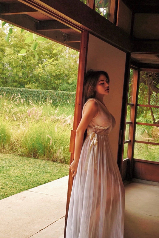 Vintage Sheer Pleated Leaf Embroidered Dress